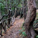 Un sentiero nel Parco del Conero (Foto F. Invernizzi)